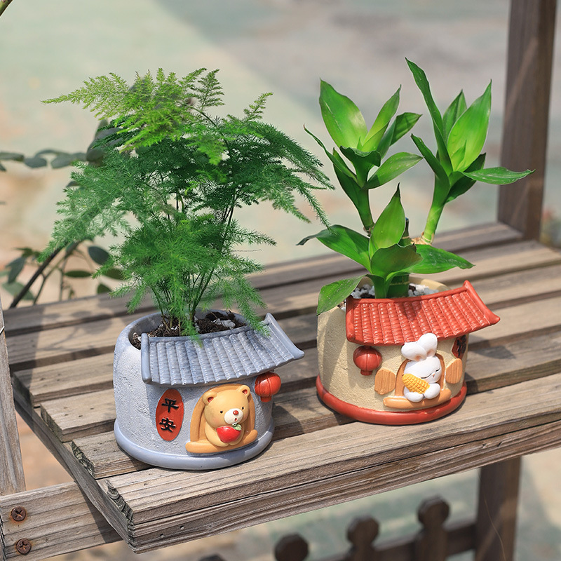 Snake Plant Ceramic - Chinesische traditionelle Bauernhaus Pflanzer für Sukkulenten