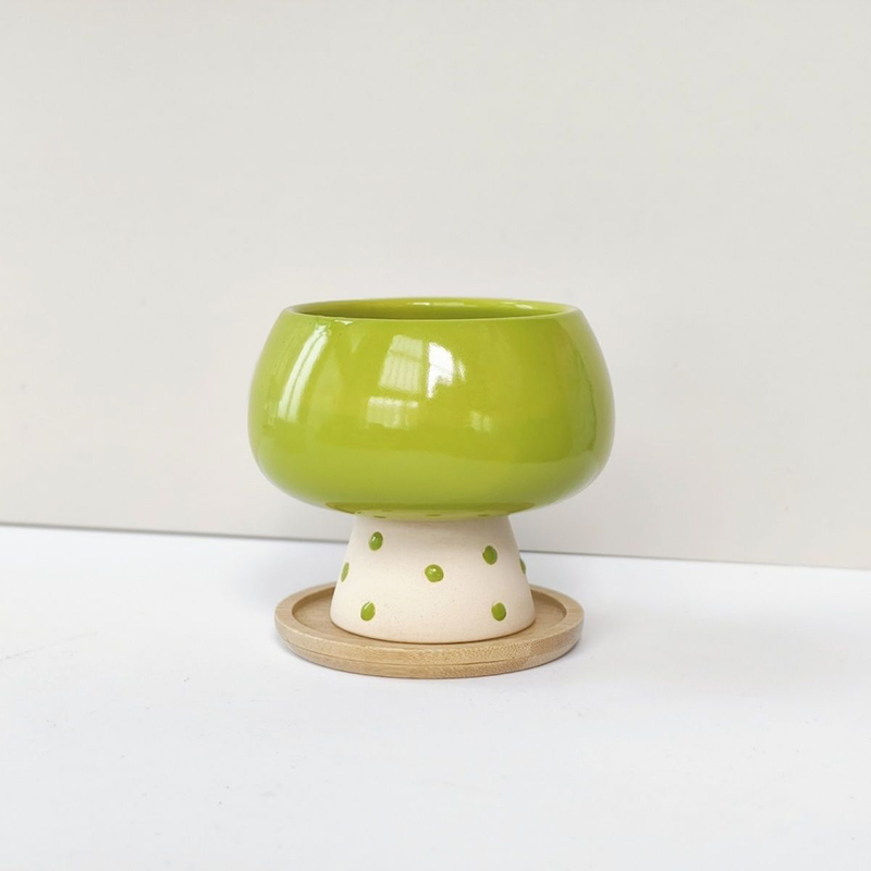 Snake Plant Ceramic - Stilvoller Minimalistischer Keramik-Blumentopf für Spinnenpflanzen, Schlangenpflanzen