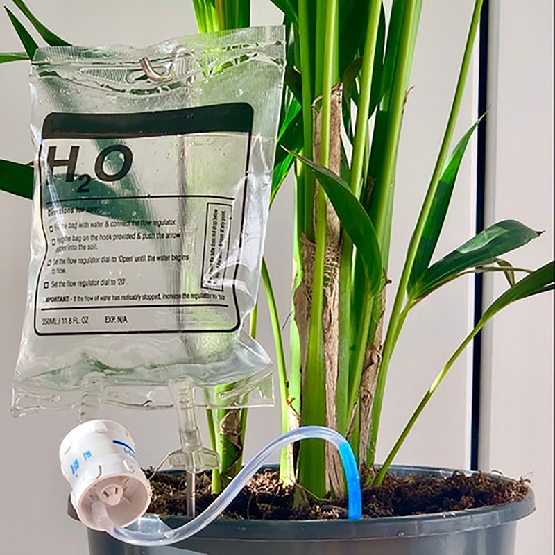 Plant Parent Kit - Garten 350ML Automatische Bewässerungsmaschine für Topfpflanzen,