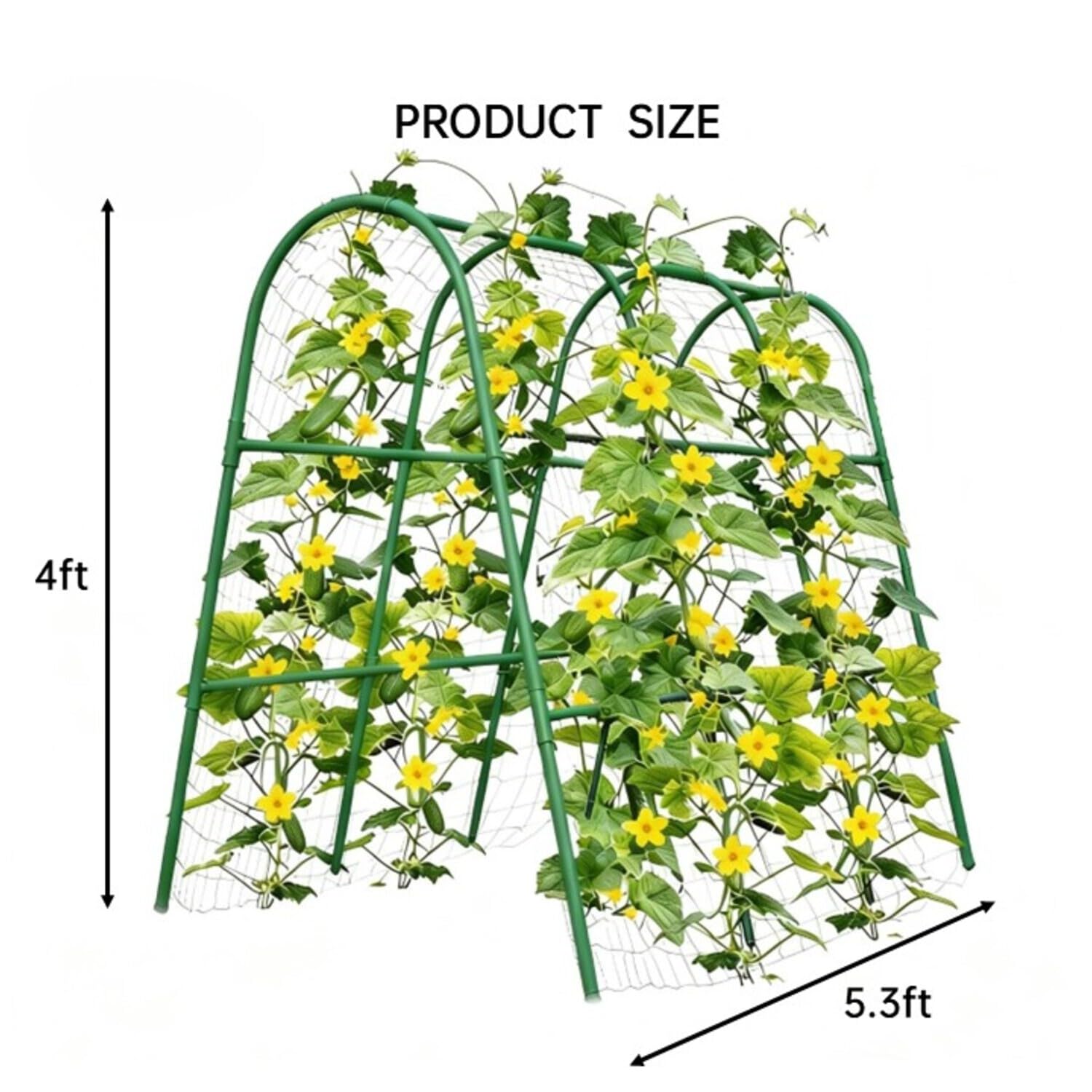 4x5,3FT Gartenbogen-Rankgitter – Plants X Bewertung und Preis