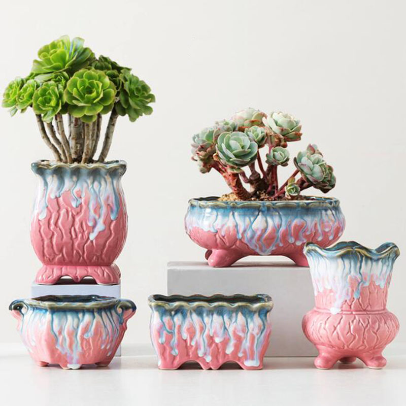 Kreative glasierte Blumentopf  – Snake Plant Ceramic Bewertung und Preis