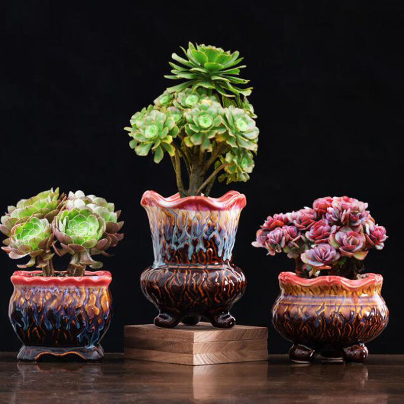 Kreative glasierte Blumentopf  – Snake Plant Ceramic Bewertung und Preis