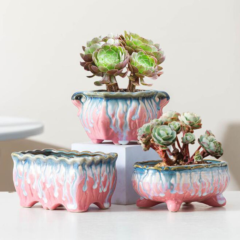 Kreative glasierte Blumentopf  – Snake Plant Ceramic Bewertung und Preis