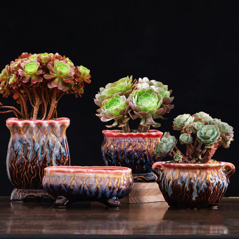 Kreative glasierte Blumentopf  – Snake Plant Ceramic Bewertung und Preis