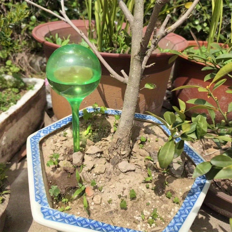 6 Stück Selbstbewässernde Bäll – Plant Parent Kit Bewertung und Preis