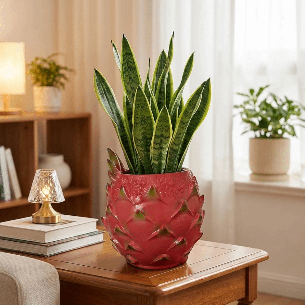Kreativer Harz-Drachenfrucht-B – Snake Plant Ceramic Bewertung und Preis