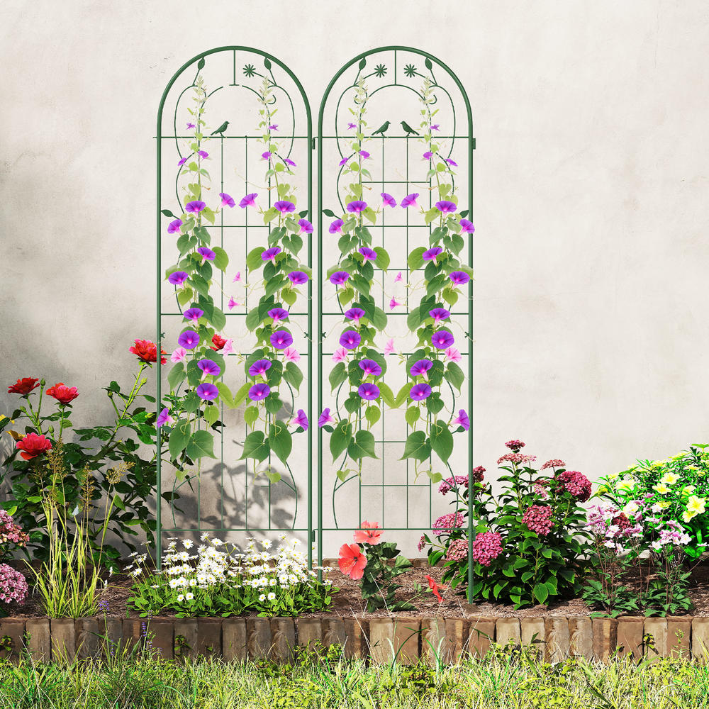 4er-Pack 71 x 20 Zoll Metall-G – Plants X Bewertung und Preis