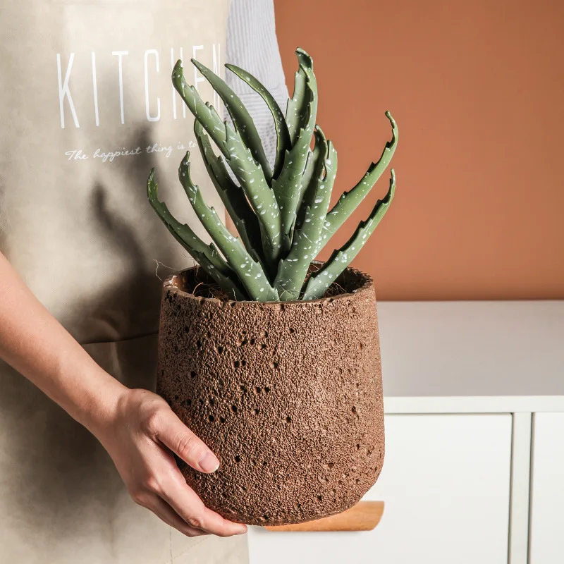 Nordic Zement Blumentopf Dekor – Snake Plant Ceramic Bewertung und Preis