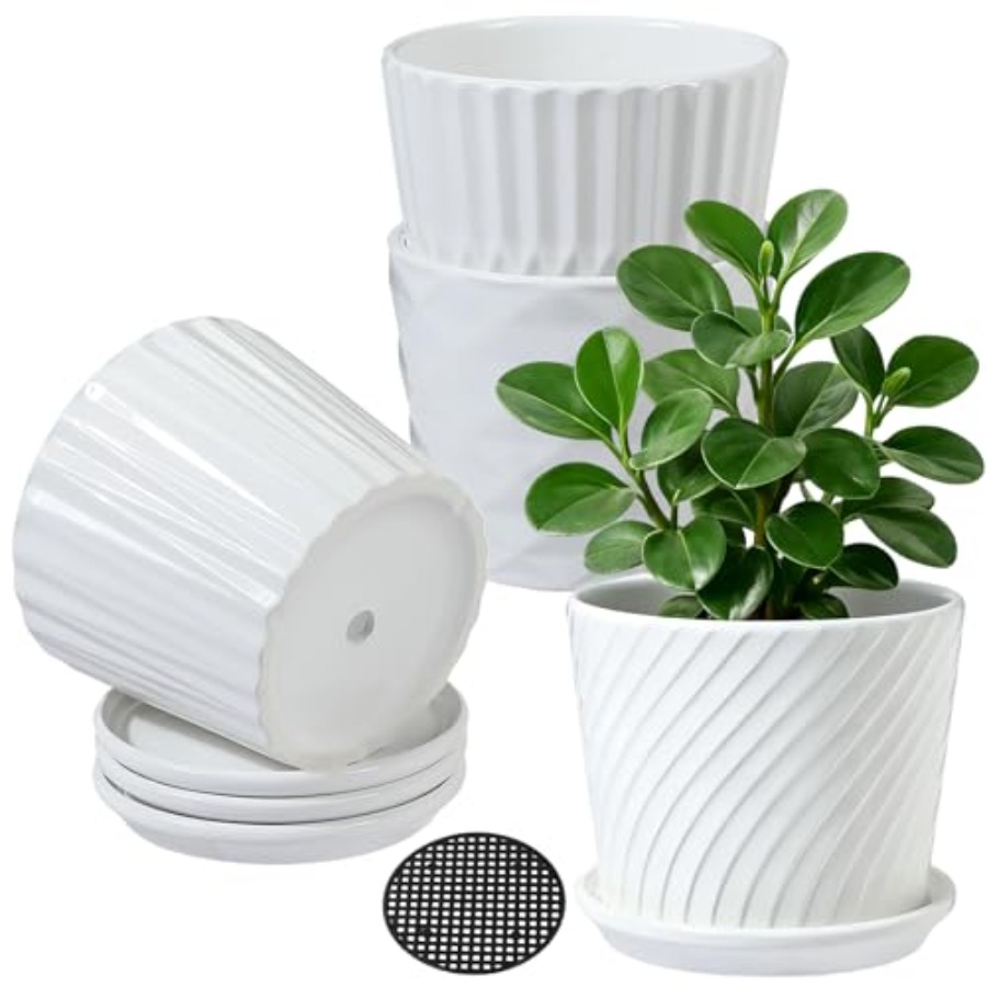 Pflanzentöpfe - Zylindrische K – Snake Plant Ceramic Bewertung und Preis