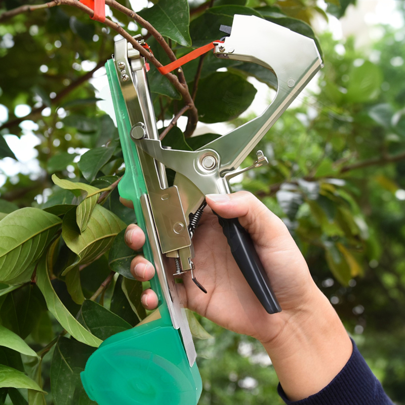 Gartenpflanzen-Bindemaschine:  – Plant Parent Kit Bewertung und Preis