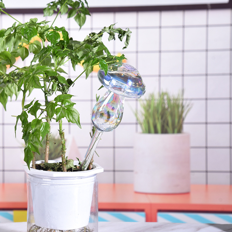 1/2PCS Glas Stroh Automatische – Plant Parent Kit Bewertung und Preis