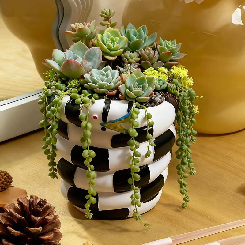 1 Stück schwarz-weißer schlang – Snake Plant Ceramic Bewertung und Preis