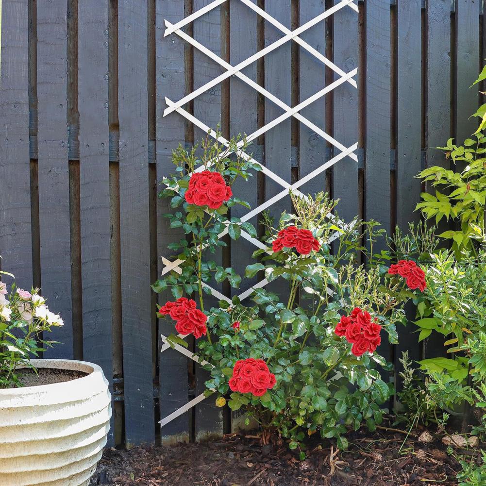 Erweiterbares Garten-Rankgitte – Plants X Bewertung und Preis