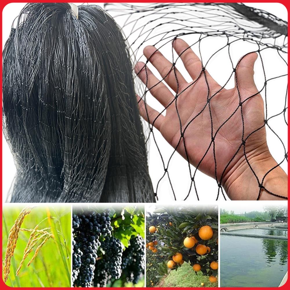Nylon-Vogelschutznetz Garten-V – Plants X Bewertung und Preis