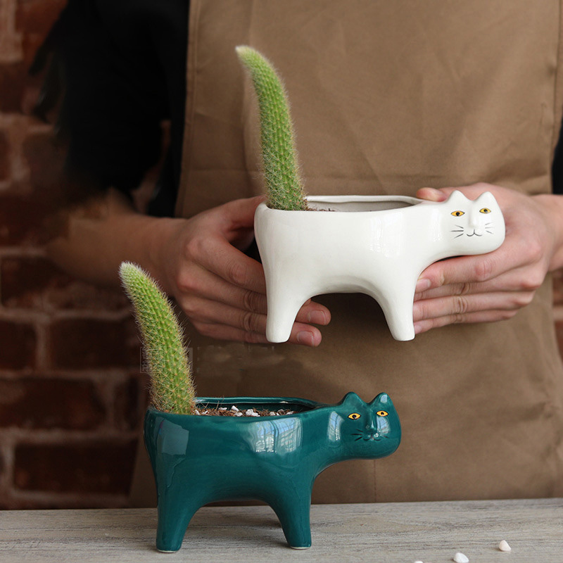 Süße Katze Keramik Garten Blum – Snake Plant Ceramic Bewertung und Preis