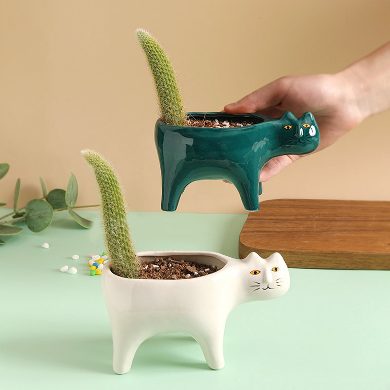 Süße Katze Keramik Garten Blum – Snake Plant Ceramic Bewertung und Preis
