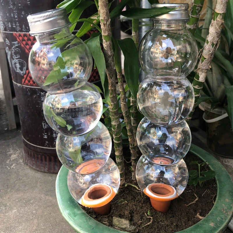 1/3/5 Stück Kreative automatis – Plant Parent Kit Bewertung und Preis