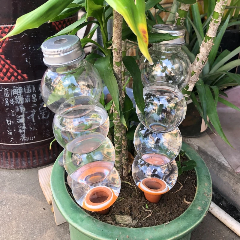 1/3/5 Stück Kreative automatis – Plant Parent Kit Bewertung und Preis